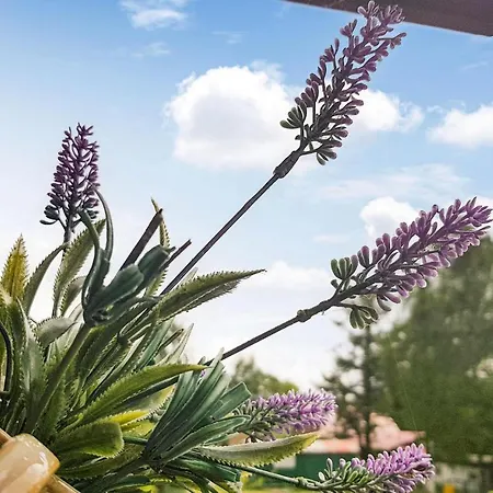 2 Bedroom Beautiful In Casa de Férias Dominikowo