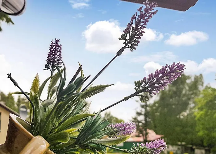 2 Bedroom Beautiful In Casa vacanze Dominikowo